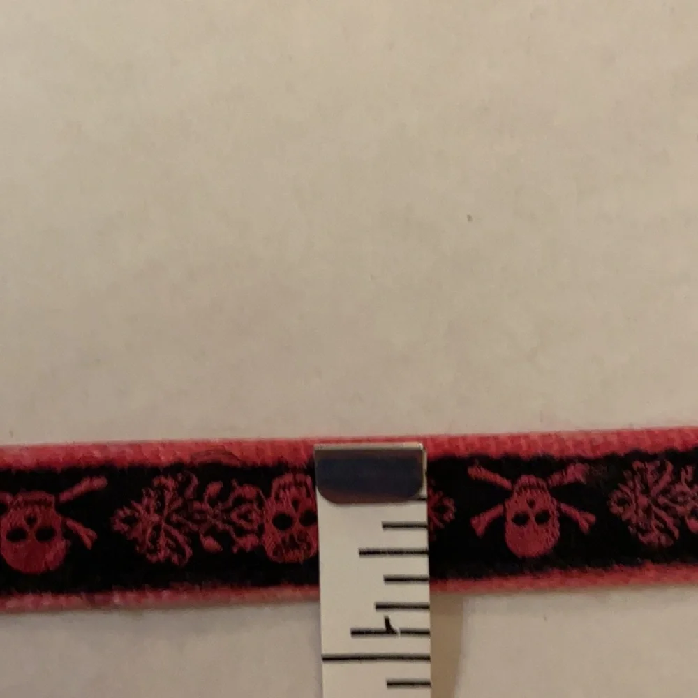 Dog Collar and Small Tie-Out